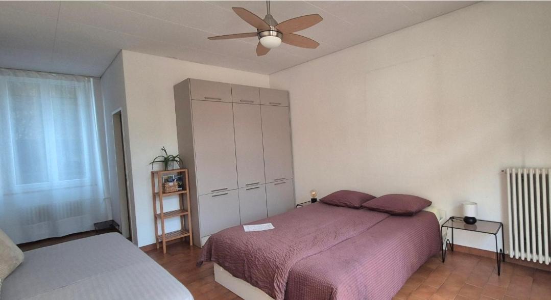 Casa Del Sole Apartment Locarno Ngoại thất bức ảnh