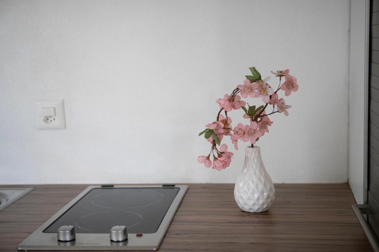 Casa Del Sole Apartment Locarno Ngoại thất bức ảnh